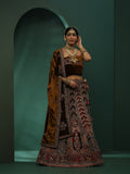 Maroon & Brown Embroidered Lehenga Choli With Dupatta